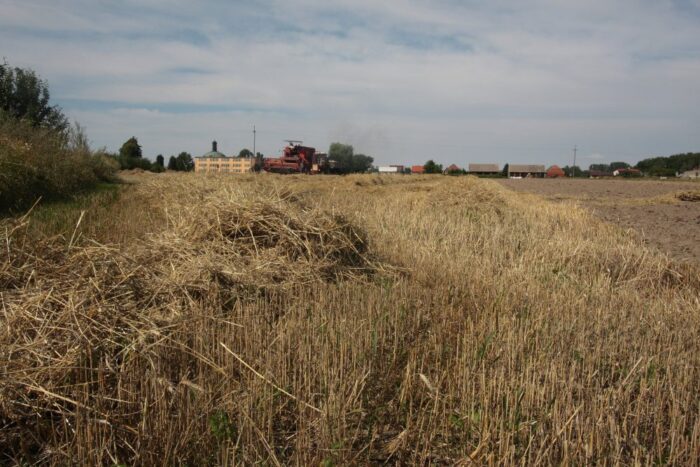 grunty, ziemia, cudzoziemcy, mswia, kupno gruntów przez cudzoziemców, wyspy dziewicze