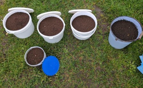 kornik drukarz, Puszcza Białowieska, wycinka drzew w Puszczy Białowieskiej, drzewa