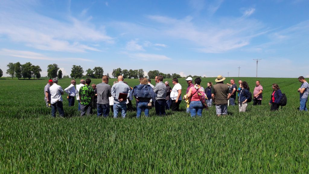 nowiny, dni pola, warmia i mazury, PPUH Nowiny, apera, Krajowe Zrzeszenie Producentów Rzepaku i Roślin Białkowych