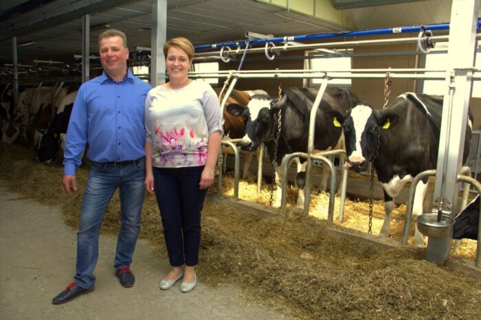 obora, modernizacja, wózek paszowy, bydło mleczne