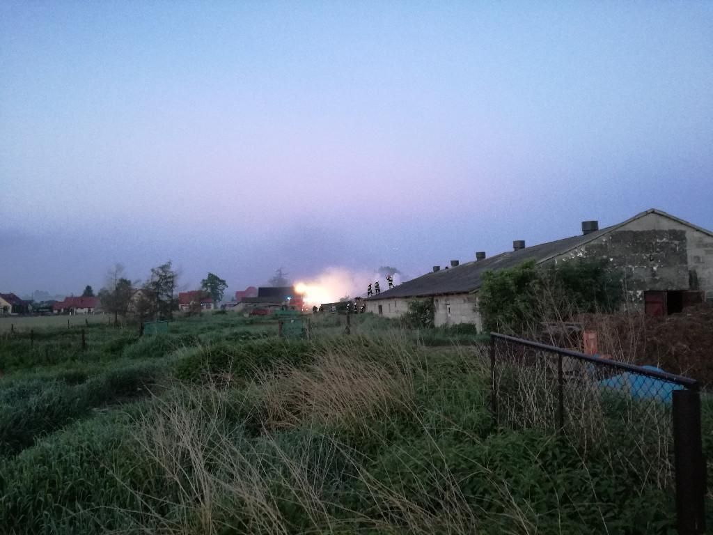 Niedźwiedź, Kielce, Świętokrzyskie, pożar chlewni, chlewnia, trzoda chlewna, świnie