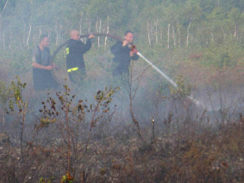 lasy, lasy państwowe, pożary lasów, straż pożarna, warmia i mazury, leśnicy