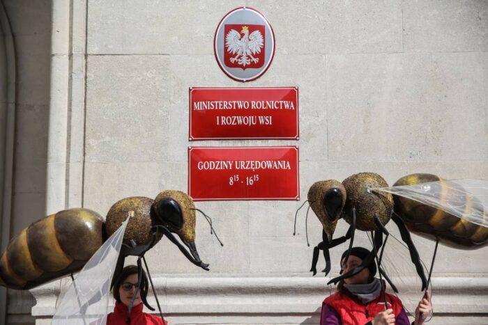 owady, pszczoły, rzepak, zboża, buraki cukrowe, neonikotynoidy, stosowanie neonikotynoidów