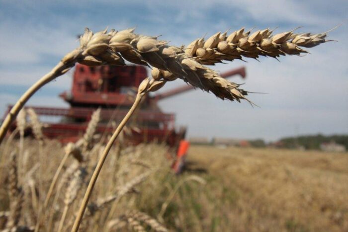 konsultacje społeczne, WPR, rolnictwo, Unia Europejska, Komisja Europejska, Phil Hogan