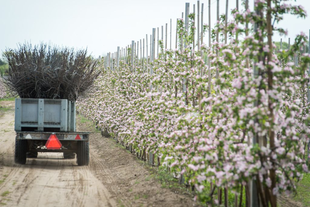 praca sezonowa w rolnictwie, pracownicy sezonowi, ustawa o ubezpieczeniu społecznym rolników, rząd