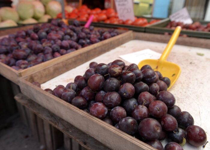 Eberhard Makosz, Towarzystwo Rozwoju Sadów Karłowatych, sadownictwo, straty w sadach, czereśnie, śliwy, drzewa pestkowe