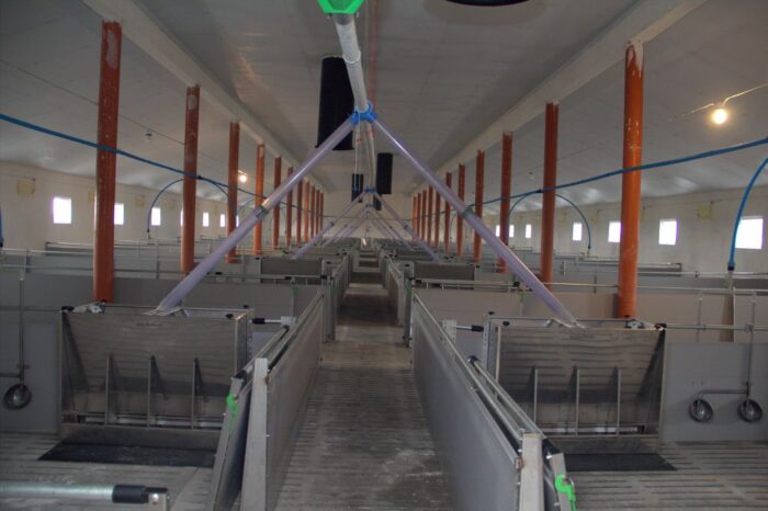 Bogdan Konopka, główny lekarz weterynarii, fermy wielkopowierzchniowe