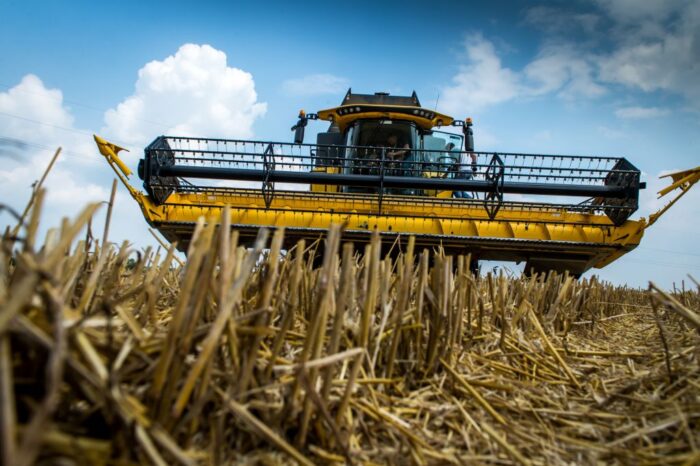 zboża, zbiory zbóż, produkcja zbóż, zapasy zbóż, przerób zbóż, Andrzej Kalicki