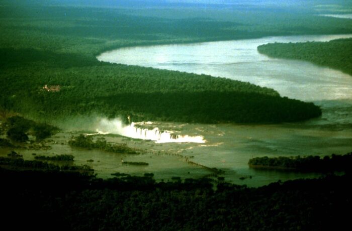 lasy tropikalne, wycinka lasów, rolnictwo przemyslowe, Uniwersytet Duke