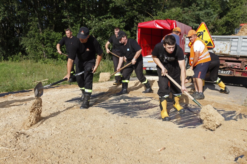 asf, lubelszczyzna, bioasekuracja, asf u świń, hodowla trzody chlewnej, świnie