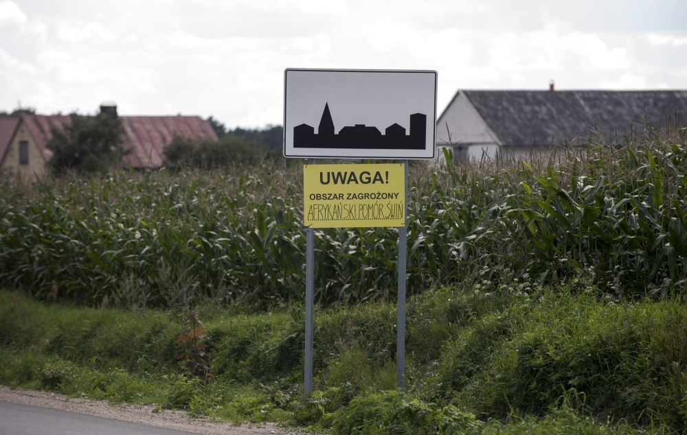 Sławomir Izdebski, OPZZ Rolników Indywidulanych, asf, podlasie, bioasekuracja