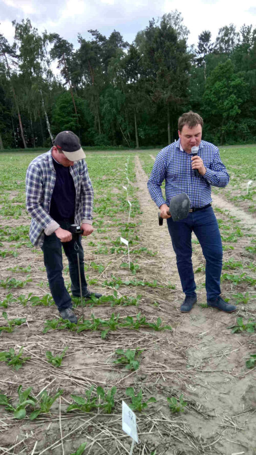 studenci, buraki, pole, Mariusz Czajkowski