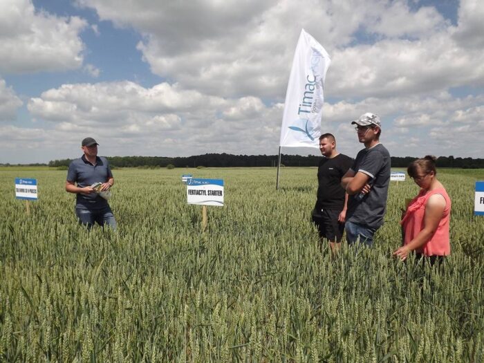 zimotrwałość, zbóż, Cicibór Duży, uprawa, Biała Podlaska, Dzień Pola w Ciciborze Dużym