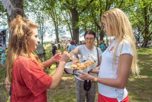 produkcja drobiu, rynek mięsa, komisja europejska