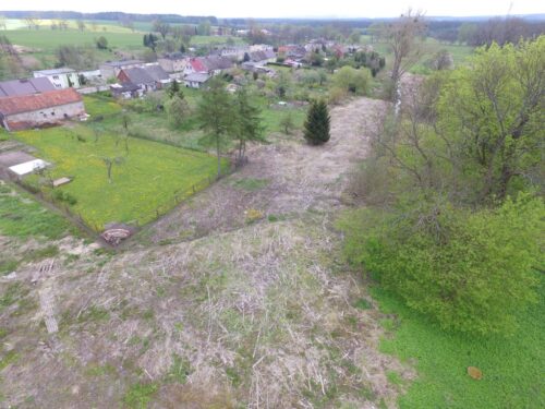 barszcz Sosnowskiego, walka z barszczem sosnowskiego, pomorze, gmina kępice, dron