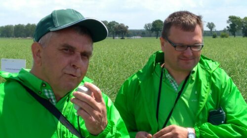 Dni Pola Innvigo, sobiejuchy, kujawy i pomorze, odmiany zbóż HR Danko, krzysztof golec, Andrzej Borychowski