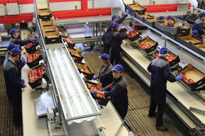 eksport żywności, żywność, polska, wielka brytania, Marek Schejbal, Brytyjsko-Polska Izba Handlowa