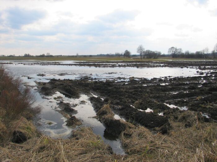 osn, tereny osn, odpływ azotu ze źródeł rolniczych, azot, gospodarowanie nawozami