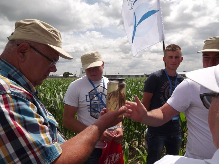 Panorama Pól Timac Agro Polska, nawożenie, Panorama Pól Timac Agro w Dębnie, podkarpackie