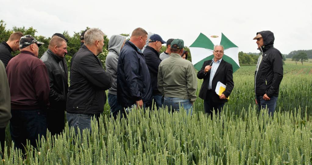 Dni Pola, mleko, GMO, pasze, bydło mleczne, odmiany, COBORU