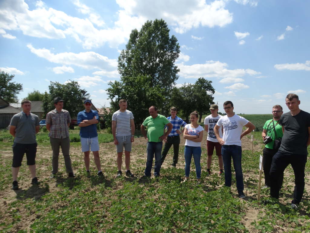 studenci WRiB, Sahryń, Witold Ferens, soja