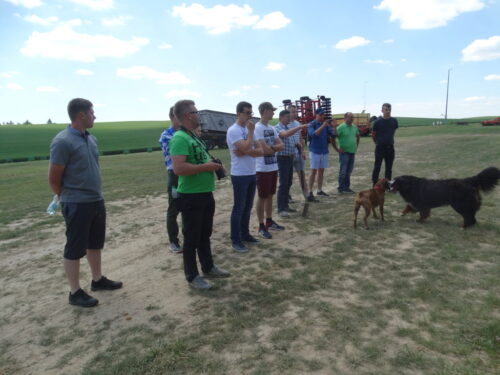 studenci wrib, Wiesław Gryn