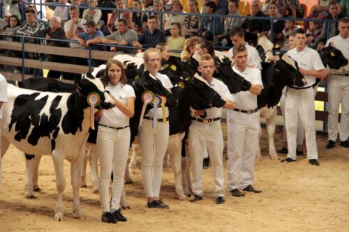 Podlaska Szkoła Młodych Hodowców, Szepietowo