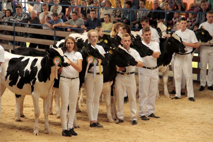 Podlaska Szkoła Młodych Hodowców, Szepietowo