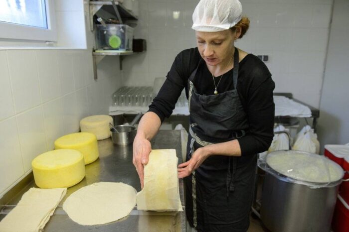 ser, Sandomierz, mleko, Czas Dobrego Sera, Ogólnopolski Festiwal Nieskończonych Form Mleka