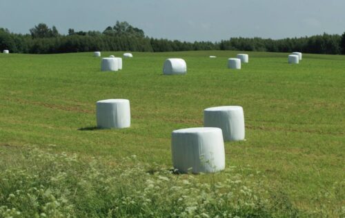 susza rolnicza, deficyt wody, stan upraw, Klimatyczny Bilans Wodny, Instytut Uprawy Nawożenia i Gleboznawstwa