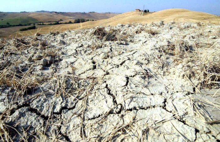 susza, włochy, brak wody, zniszczone uprawy, Związek rolników Coldiretti