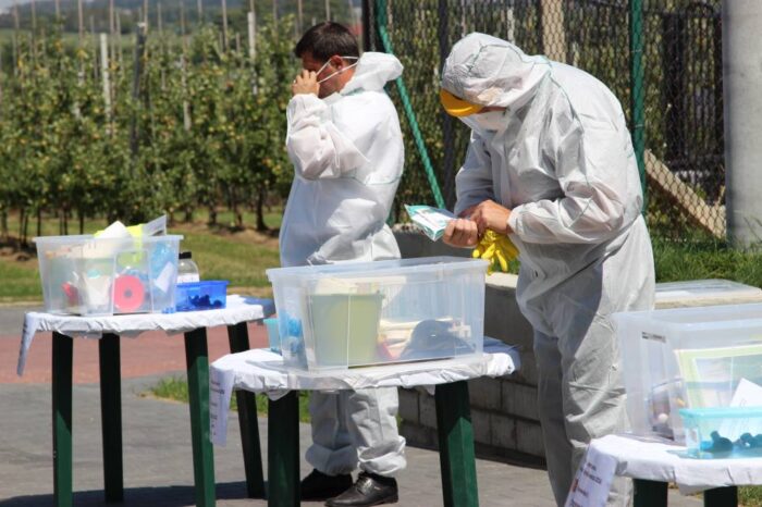 syngenta, ChemChina, ochrona roślin, produkcja nasion, Ren Jianxin