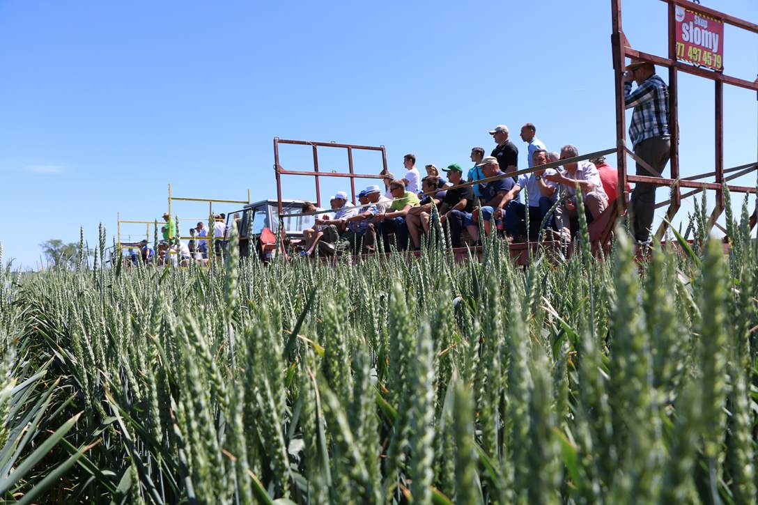 Väderstad , poletka doświadczalne, Twardawa 2017