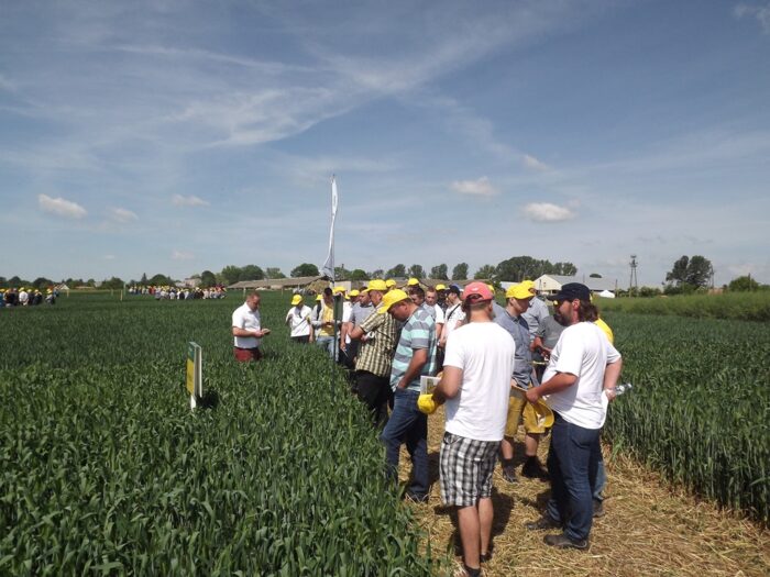 wiszniów, TeamAgro Kuczyńska, powiat hrubieszowski, rzepak, psenica, soja, Pola Demonstracyjne Rzepaku, Pszenicy i  Soi