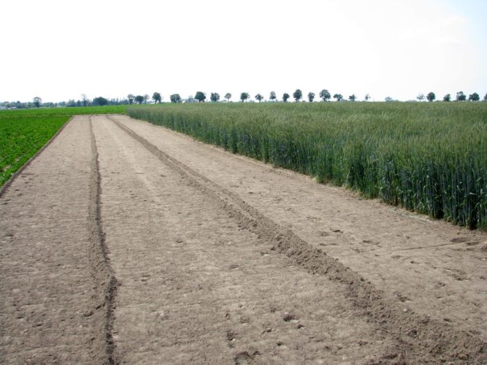 ziemia rolna, obrót ziemią rolną, sprzedaż ziemi rolne, rolnictwo, krir, dzierżawa ziemi