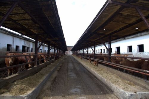 ubój gospodarczy, krir, krajowa rada izb rolniczych, ministerstwo rolnictwa