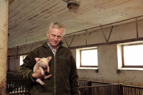 cykl zamknięty, tuczniki, loszki hodowlane, Zbigniew Cybulski