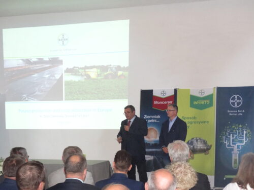 Dzień Ziemnika, Żelazna