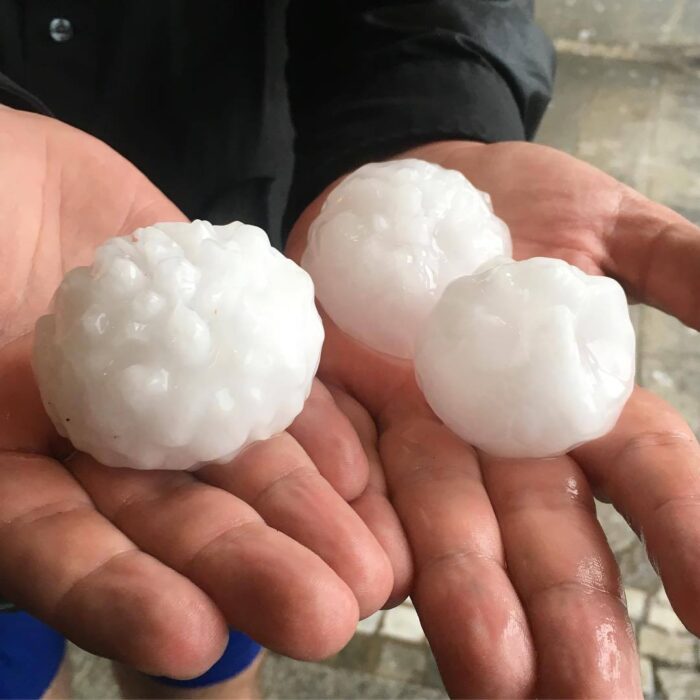 gradobicie, sad, sadownictwo, NOWOŻENIE WAPNIEM, straty w sadzie