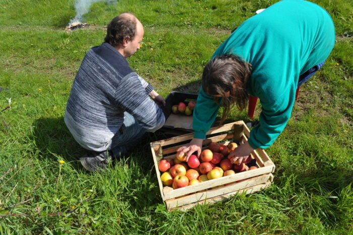 kazachstan, polska, modernizacja rolnictwa, sadownictwo, Isajewa Gulmira Sułtanbajewa