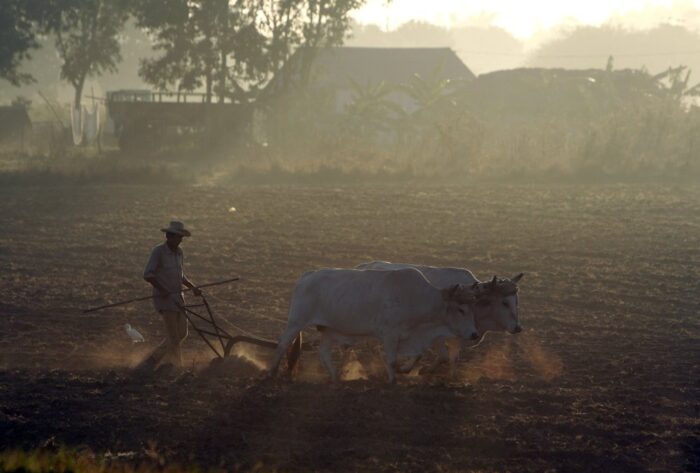 kuba, dzierżawa ziemi, grunty rolne, uprawa ziemi, rolnictwo, Marino Murillo