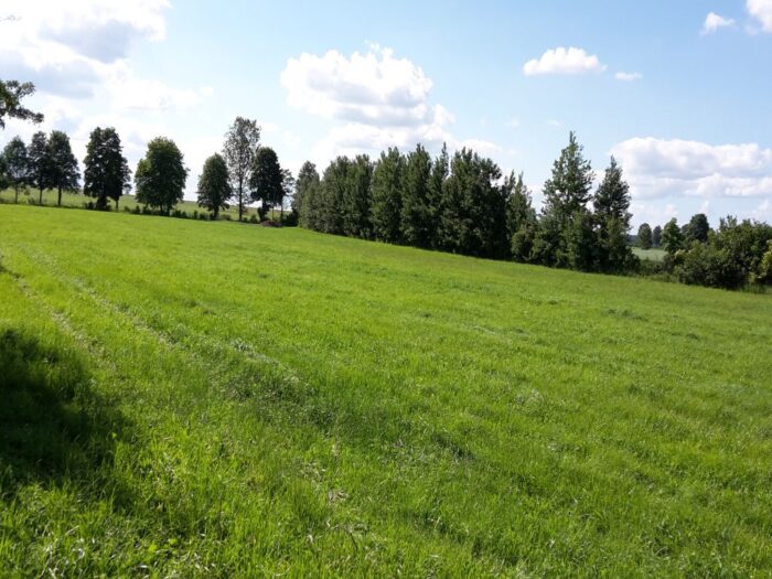 trwałe użytki zielone, tuz, cofnięcie dopłat bezpośrednich, podlaska izba rolnicza, ryszard zarudzki