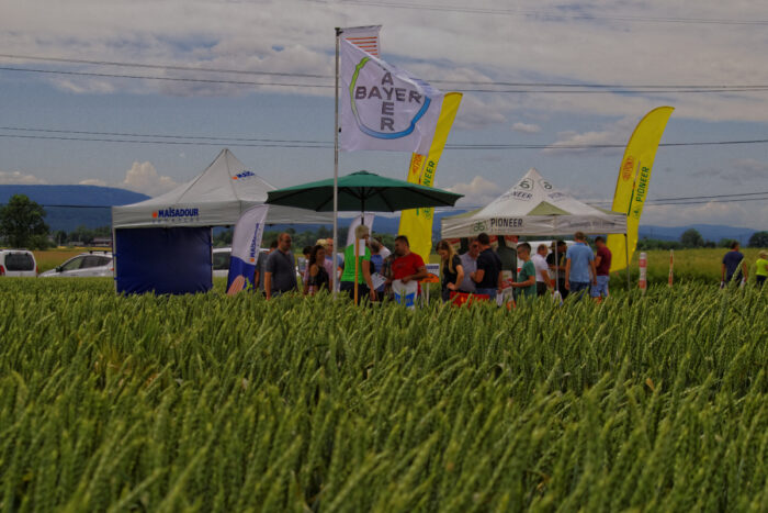 Dni Pola firmy Wialan, WiaLan Langer, Wiatr sp.j, malopolska, tarnów, odmiany zbóż, środki ochrony roślin, Liplas