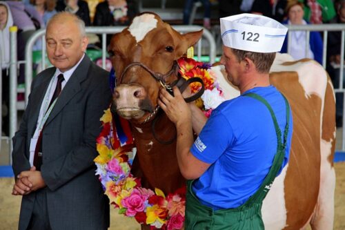XVIII Regionalna Wystawa Zwierząt Hodowlanych Minikowo