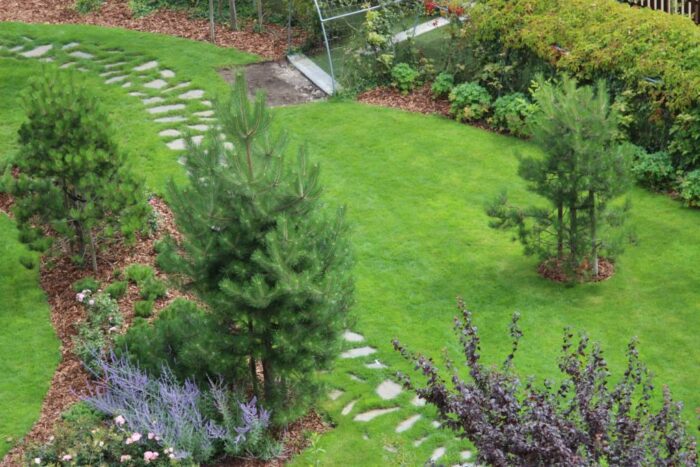 ogrodnictwo, ogród, rośliny ogrodnicze, firma, biznes, przedsiębiorstwo