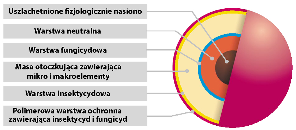 nasiona, otoczkowanie, KHBC
