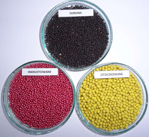 zaprawianie nasion rzepaku ozimego, zaprawy neonikotynoidowe, czasowe zezwolenie ministra rolnictwa, tiachlopryd, Cruise