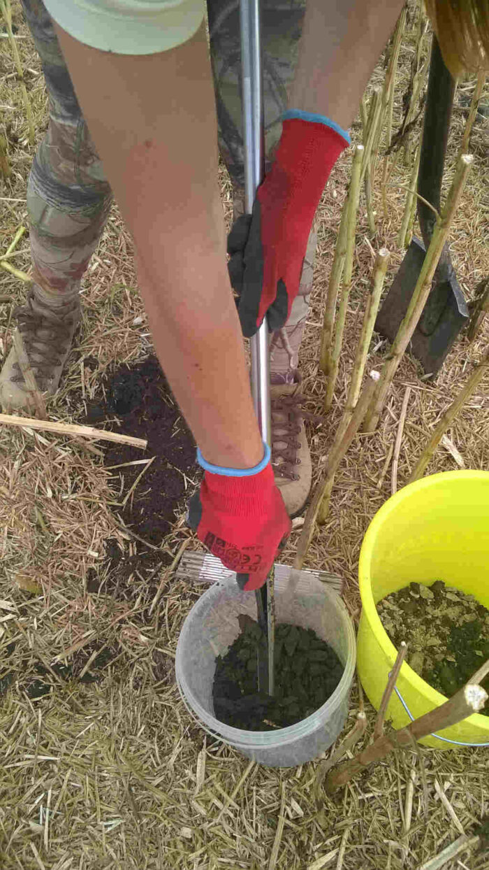 pobieranie próbek gleby, laska glebowa, rzepaczysko