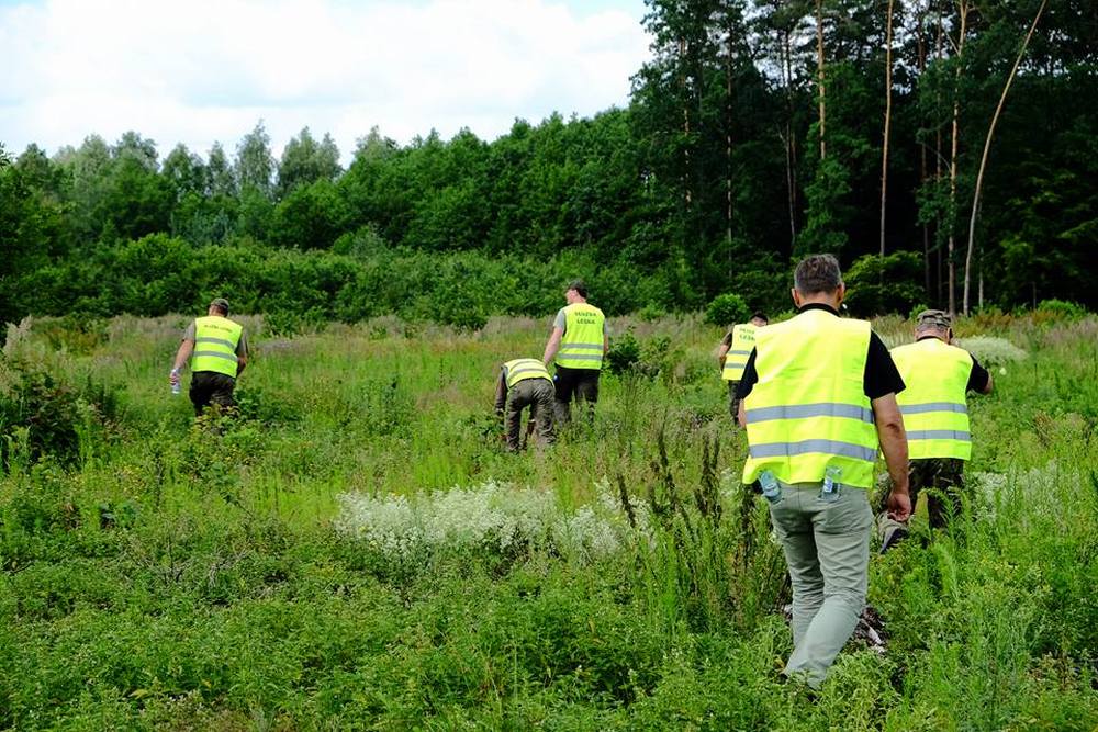 dziki, trzoda chlewna, ASF, afrykańki pomór świń, wirus ASF w gospodarstwie