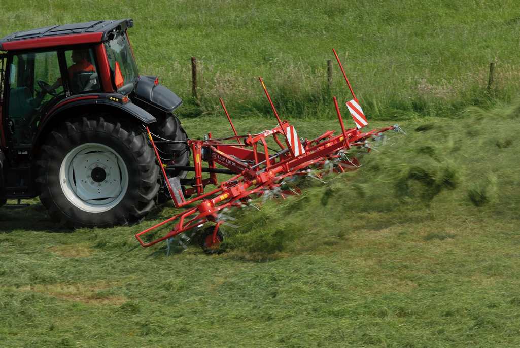 przetrząsanie zielonki